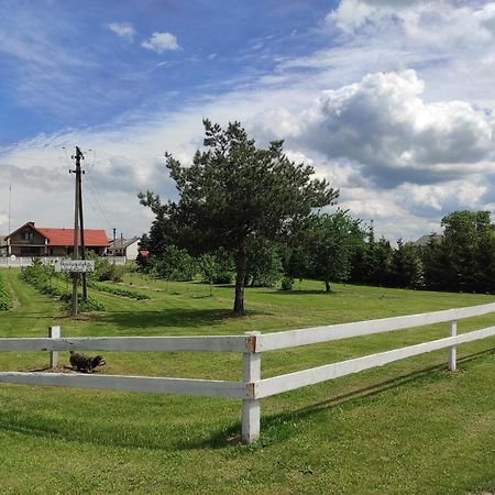 Agroturystyka Kobylnica Nad Wisla Exterior photo