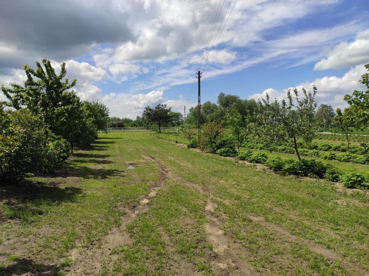 Agroturystyka Kobylnica Nad Wisla Exterior photo