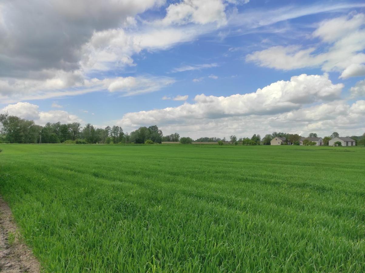 Agroturystyka Kobylnica Nad Wisla Exterior photo
