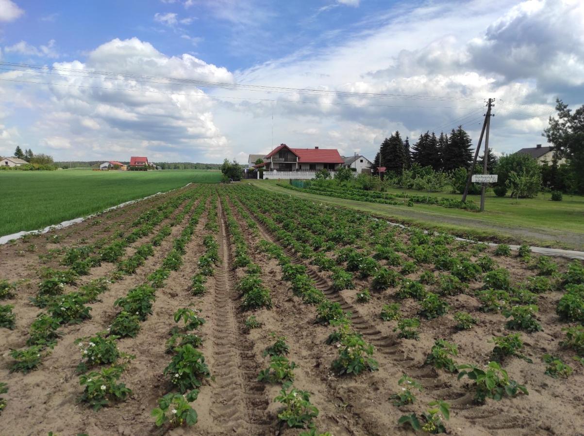 Agroturystyka Kobylnica Nad Wisla Exterior photo