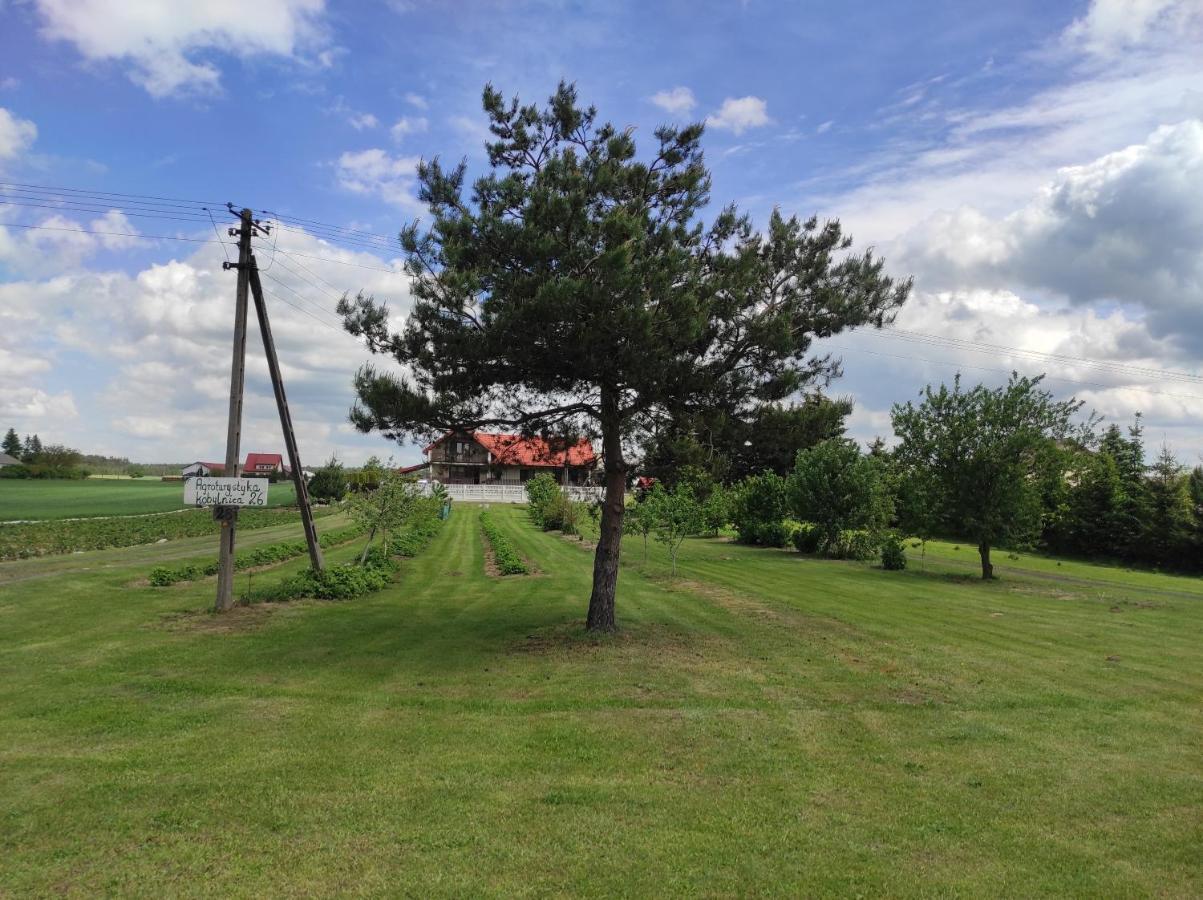 Agroturystyka Kobylnica Nad Wisla Exterior photo